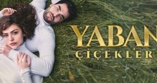 Yaban Cicekleri