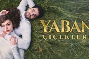 Yaban Cicekleri